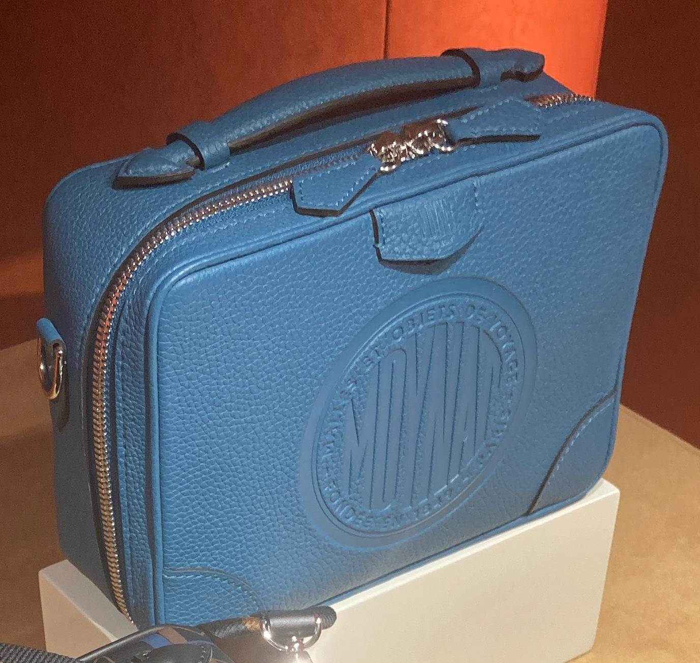 Moynat Blue Embossed Leather Camera Bag